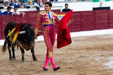 Madrid, İspanya... 30 Nisan 2022, San Martin de Valdeiglesias 'ta boğa güreşi. Koltuk değneği olan boğa güreşçisi. Boğa güreşi. Boğa güreşçisi ringde boğaya pas veriyor..