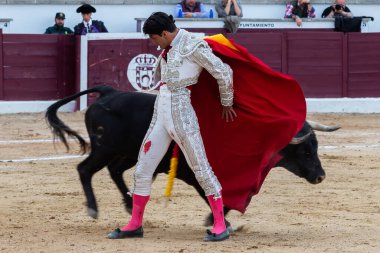 Madrid, İspanya... 30 Nisan 2022, San Martin de Valdeiglesias 'ta boğa güreşi. Koltuk değneği olan boğa güreşçisi. Boğa güreşi. Boğa güreşçisi ringde boğaya pas veriyor..
