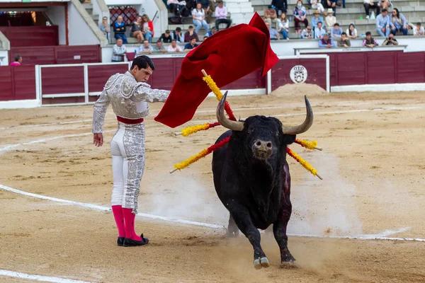 マドリード スペイン 2022年4月30日 マルタン Valdeiglesiasで闘牛 松葉杖を持つ闘牛士 闘牛士が闘牛場にマルタパスを与える — ストック写真