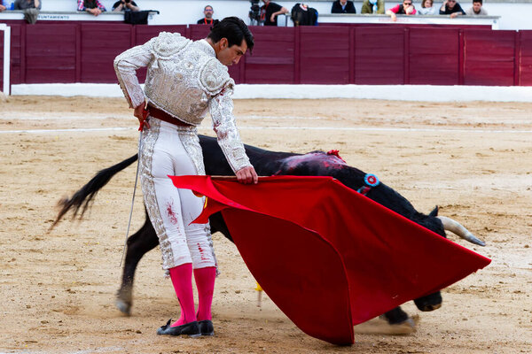 Мадрид, Испания - 30 апреля 2022 года: Bullfight в Сан-Мартине-де-Вальдейглесиас. Боец с костылем. Боевой бык. Бычий боец дает мулету пас быку на корриде.