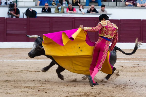 Madrid Spain April 2022 Bullfight San Martin Valdeiglesias Bullfighter Cape — стоковое фото