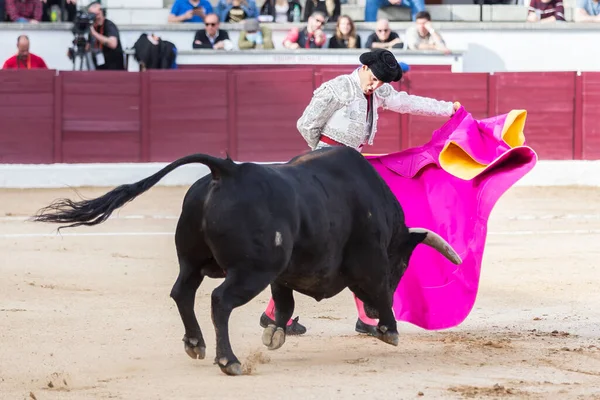 Madrid, İspanya... 30 Nisan 2022, San Martin de Valdeiglesias 'ta boğa güreşi. Pelerinli boğa güreşçisi. Boğa güreşi. Boğa güreşçisi boğa güreşine pelerin veriyor..