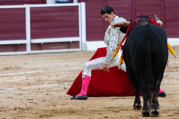 2022年4月30日 西班牙马德里 在圣马丁德瓦尔代格利亚斯的斗牛 带着拐杖的斗牛士斗牛斗牛士在斗牛场上把莫莱塔传给公牛 — 图库照片