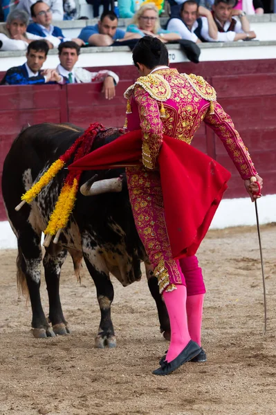Madrid, İspanya... 30 Nisan 2022, San Martin de Valdeiglesias 'ta boğa güreşi. Koltuk değneği olan boğa güreşçisi. Boğa güreşi. Boğa güreşçisi ringde boğaya pas veriyor..