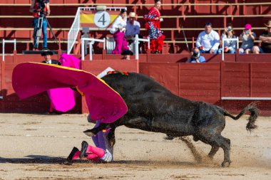 Madrid, İspanya... 30 Nisan 2022, San Martin de Valdeiglesias 'ta boğa güreşi. Pelerinli boğa güreşçisi. Boğa güreşi. Boğa güreşçisi boğa güreşine pelerin veriyor..