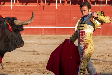 Madrid, İspanya... 30 Nisan 2022, San Martin de Valdeiglesias 'ta boğa güreşi. Koltuk değneği olan boğa güreşçisi. Boğa güreşi. Boğa güreşçisi ringde boğaya pas veriyor..