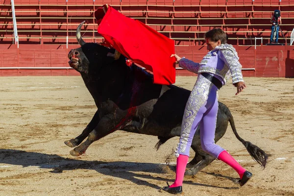 Madrid Spain April 2022 Bullfight San Martin Valdeiglesias Bullfighter Crutch — стоковое фото