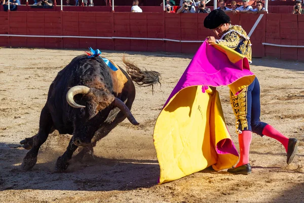 Madrid, İspanya... 30 Nisan 2022, San Martin de Valdeiglesias 'ta boğa güreşi. Pelerinli boğa güreşçisi. Boğa güreşi. Boğa güreşçisi boğa güreşine pelerin veriyor..