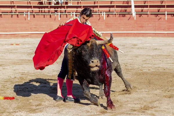 Madrid Spain April 2022 Bullfight San Martin Valdeiglesias Bullfighter Crutch — Stock Photo, Image