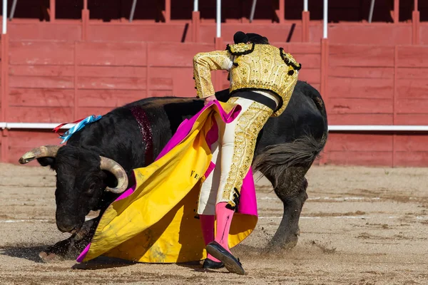 Madryt Hiszpania Kwietnia 2022 Walka Byków San Martin Valdeiglesias Bullfighter — Zdjęcie stockowe