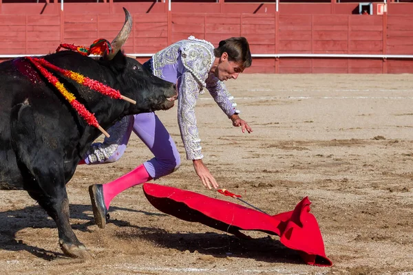 Madrid Spanya Nisan 2022 San Martin Valdeiglesias Boğa Güreşi Koltuk — Stok fotoğraf