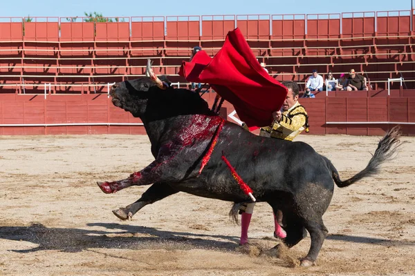 Μαδρίτη Ισπανία Απριλίου 2022 Bullfight San Martin Valdeiglesias Ταυρομάχος Δεκανίκι — Φωτογραφία Αρχείου