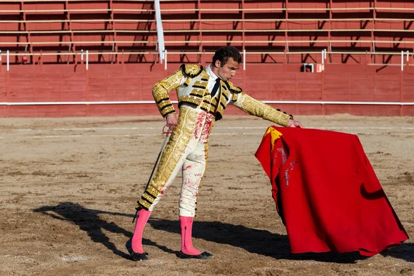 Madrid, İspanya... 30 Nisan 2022, San Martin de Valdeiglesias 'ta boğa güreşi. Koltuk değneği olan boğa güreşçisi. Boğa güreşi. Boğa güreşçisi ringde boğaya pas veriyor..