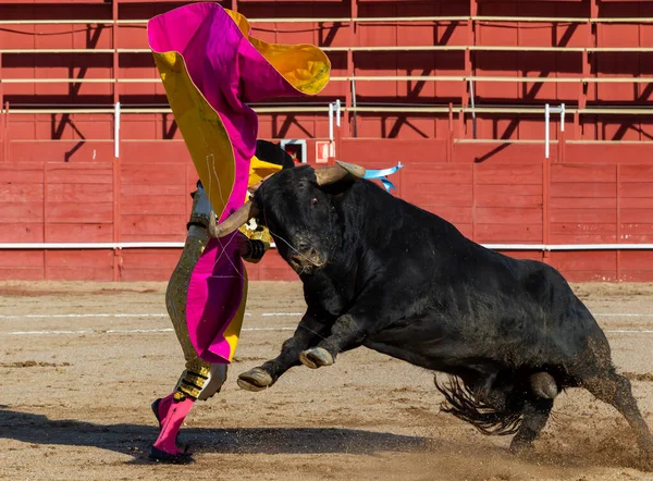 Μαδρίτη Ισπανία Απριλίου 2022 Bullfight San Martin Valdeiglesias Ταυρομάχος Μπέρτα — Φωτογραφία Αρχείου