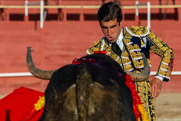 Madrid, İspanya... 30 Nisan 2022, San Martin de Valdeiglesias 'ta boğa güreşi. Koltuk değneği olan boğa güreşçisi. Boğa güreşi. Boğa güreşçisi ringde boğaya pas veriyor..