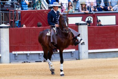 Madrid, Spain- May 14, 2022: Bullfight with the bullfighter on horseback in the Las Ventas bullring. Rejoneo bullfights.