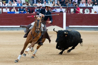 Madrid, Spain- May 14, 2022: Bullfight with the bullfighter on horseback in the Las Ventas bullring. Rejoneo bullfights.