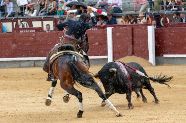 Madrid, İspanya... 14 Mayıs 2022 Las Ventas boğa güreşçisi ile boğa güreşi. Rejoneo boğa güreşi.