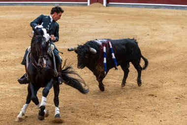 Madrid, İspanya... 14 Mayıs 2022 Las Ventas boğa güreşçisi ile boğa güreşi. Rejoneo boğa güreşi.