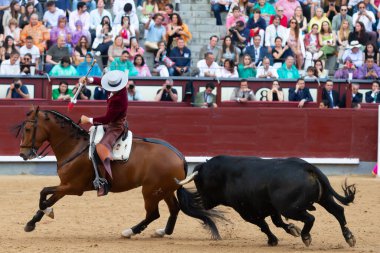Madrid, İspanya... 14 Mayıs 2022 Las Ventas boğa güreşçisi ile boğa güreşi. Rejoneo boğa güreşi.