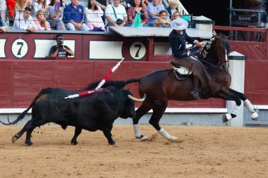 Madrid, İspanya... 14 Mayıs 2022 Las Ventas boğa güreşçisi ile boğa güreşi. Rejoneo boğa güreşi.