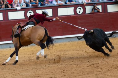 Madrid, Spain- May 14, 2022: Bullfight with the bullfighter on horseback in the Las Ventas bullring. Rejoneo bullfights.