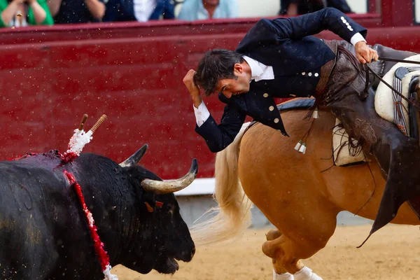 Madrid, İspanya... 14 Mayıs 2022 Las Ventas boğa güreşçisi ile boğa güreşi. Rejoneo boğa güreşi.