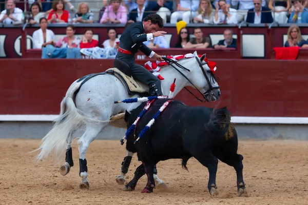 Madrid, İspanya... 14 Mayıs 2022 Las Ventas boğa güreşçisi ile boğa güreşi. Rejoneo boğa güreşi.