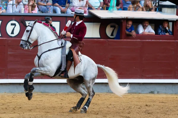 Madrid Spain May 2022 Bullfight Bullfighter Horseback Las Ventas Bullring — Zdjęcie stockowe