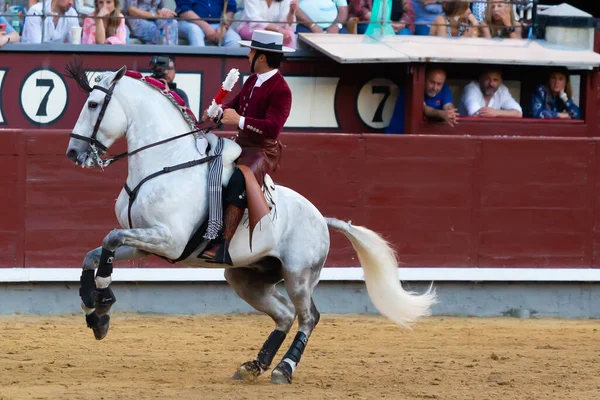 Madrid España Mayo 2022 Toreo Con Torero Caballo Plaza Toros — Foto de Stock