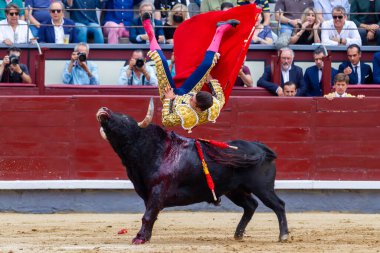 Madrid, İspanya 2 Haziran 2022 'de Rafael Gonzalez, Madrid' deki Las Ventas boğa güreşinde bir av yakaladı. Koltuk değneği olan boğa güreşçisi..