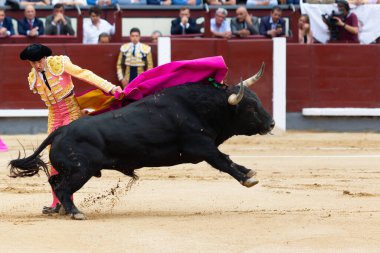 Madrid, İspanya - 2 Haziran 2022 Madrid 'deki Las Ventas boğa güreşi sırasında capote ile Juan Leal. Koltuk değneği olan boğa güreşçisi..