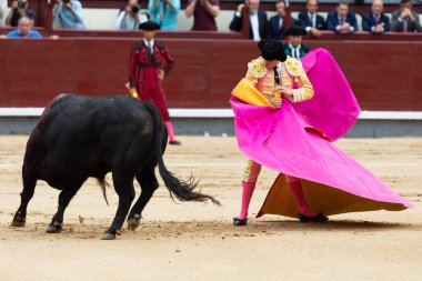 Madrid, İspanya - 2 Haziran 2022 Madrid 'deki Las Ventas boğa güreşi sırasında capote ile Juan Leal. Koltuk değneği olan boğa güreşçisi..