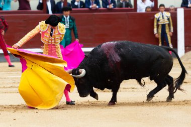 Madrid, İspanya - 2 Haziran 2022 Madrid 'deki Las Ventas boğa güreşi sırasında capote ile Juan Leal. Koltuk değneği olan boğa güreşçisi..