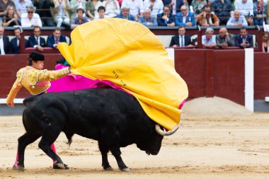 Madrid, İspanya - 2 Haziran 2022 Madrid 'deki Las Ventas boğa güreşi sırasında capote ile Juan Leal. Koltuk değneği olan boğa güreşçisi..