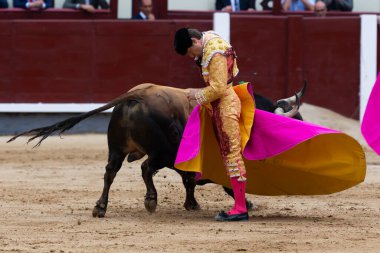 Madrid, İspanya - 2 Haziran 2022 Madrid 'deki Las Ventas boğa güreşi sırasında capote ile Juan Leal. Koltuk değneği olan boğa güreşçisi..