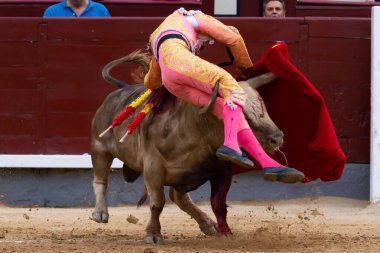 Madrid, İspanya 2 Haziran 2022 'de Madrid' deki Las Ventas boğa güreşi sırasında Juan Leal sonuçlarına katlanmadan yakalandı. Koltuk değneği olan boğa güreşçisi..