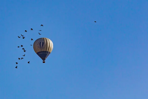 Aranjuez Espanha Outubro 2022 Exposição Balão Quente Nos Jardins Palácio — Fotografia de Stock