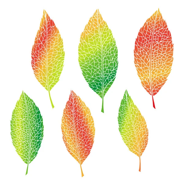 Automne Tendances Modernes Gradient Feuilles Avec Des Veines Feuille Jardin — Image vectorielle