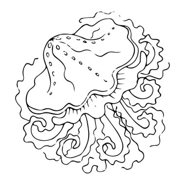 Beyaz arka planda denizanası koleksiyonu, karikatür vektör çizimi. El yapımı denizanası. Vektör çizimi. Deniz koleksiyonu.