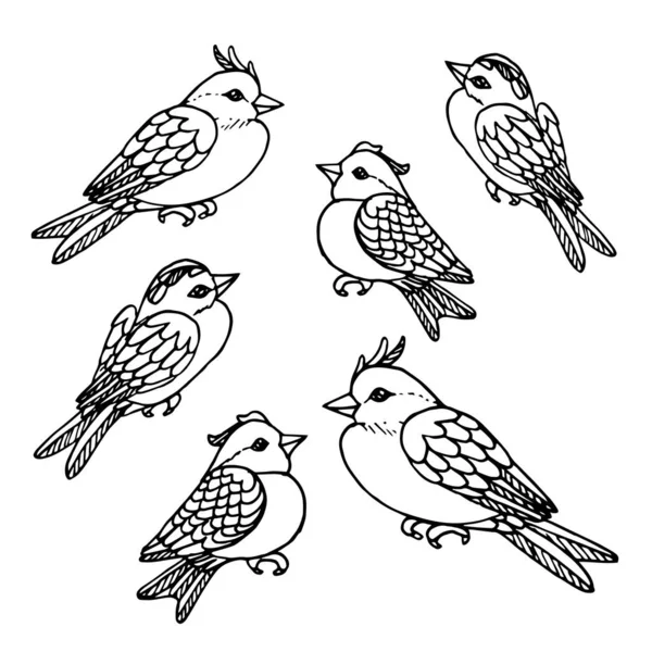 Vogelsammlung Sammlung Von Niedlichen Handgezeichneten Vogelkritzeleien Schwarz Auf Weiß Vektor — Stockvektor