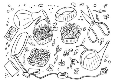 Büyüyen mikroyeşiller el çizimi çizim vektörü