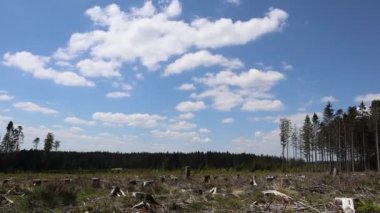 Zaman çizelgesi bulutları Belçika Ardennes