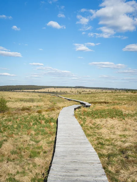 Les Haute Fagnes Part Belgium Ardennes Burning Trees — Stock Photo, Image