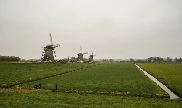 Tree Windmills Stompijk Ολλανδία — Φωτογραφία Αρχείου