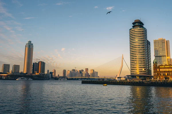 Rotterdam Silueti Ocak 2022 — Stok fotoğraf