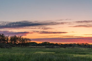 Hollanda, Wassenaar 'ın kumullarında gün batımı.