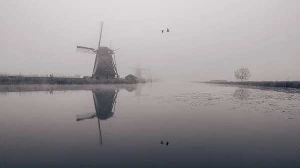 Ομιχλώδης Πρωί Στους Ανεμόμυλους Στο Kinderdijk Ολλανδία — Φωτογραφία Αρχείου