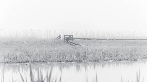 lots of fog at water at Kinderdijk, The Netherlands.