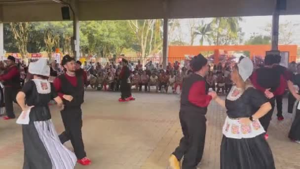 Dança Folclórica Tradicional Holandesa Festival Expo Flora Holombra Brasil Setembro — Vídeo de Stock